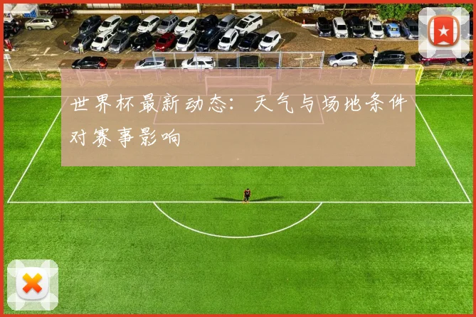 世界杯最新动态：天气与场地条件对赛事影响