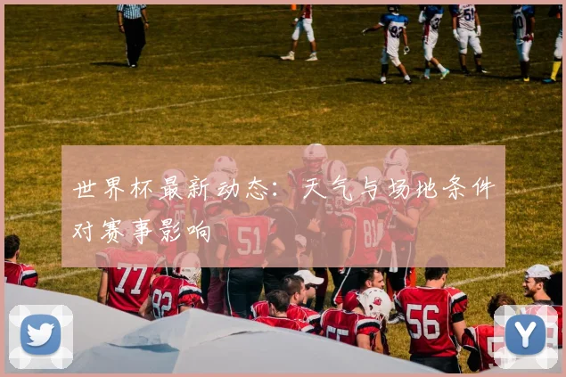 世界杯最新动态：天气与场地条件对赛事影响