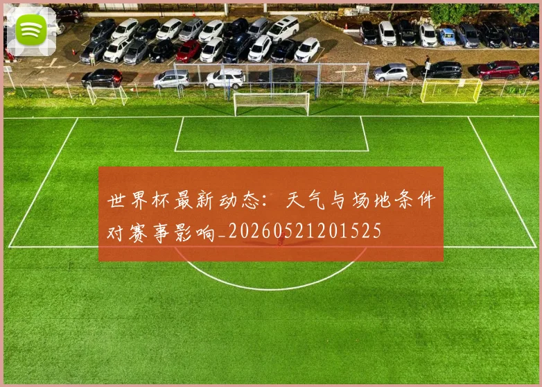 世界杯最新动态：天气与场地条件对赛事影响_20260521201525