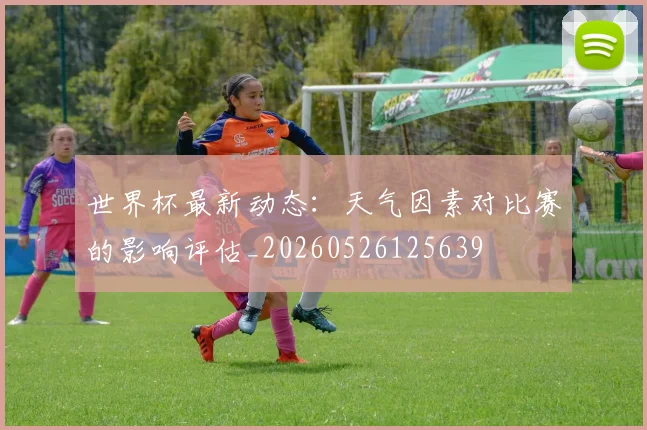 世界杯最新动态：天气因素对比赛的影响评估_20260526125639
