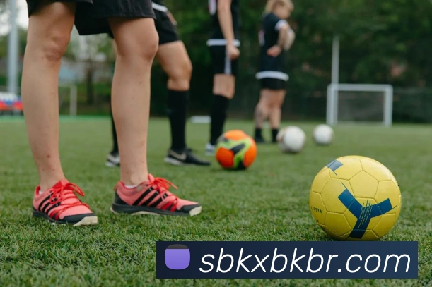 对战数据统计